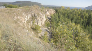 Вид карбонатных пород