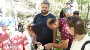 Анализ горной породы на геологической практике