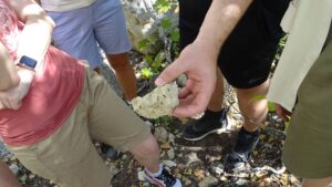 Образец горной породы