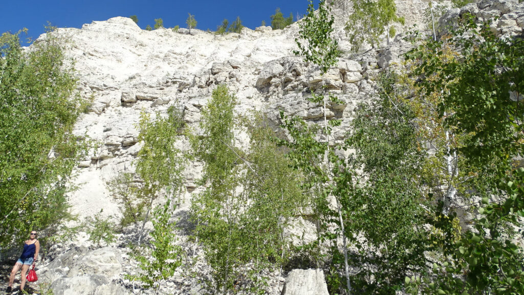 Карбонатные породы в самарской области Геологический разрез