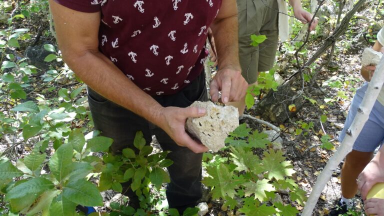 Изучение горной породы